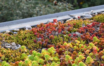 the cost of Whashton green roof installation